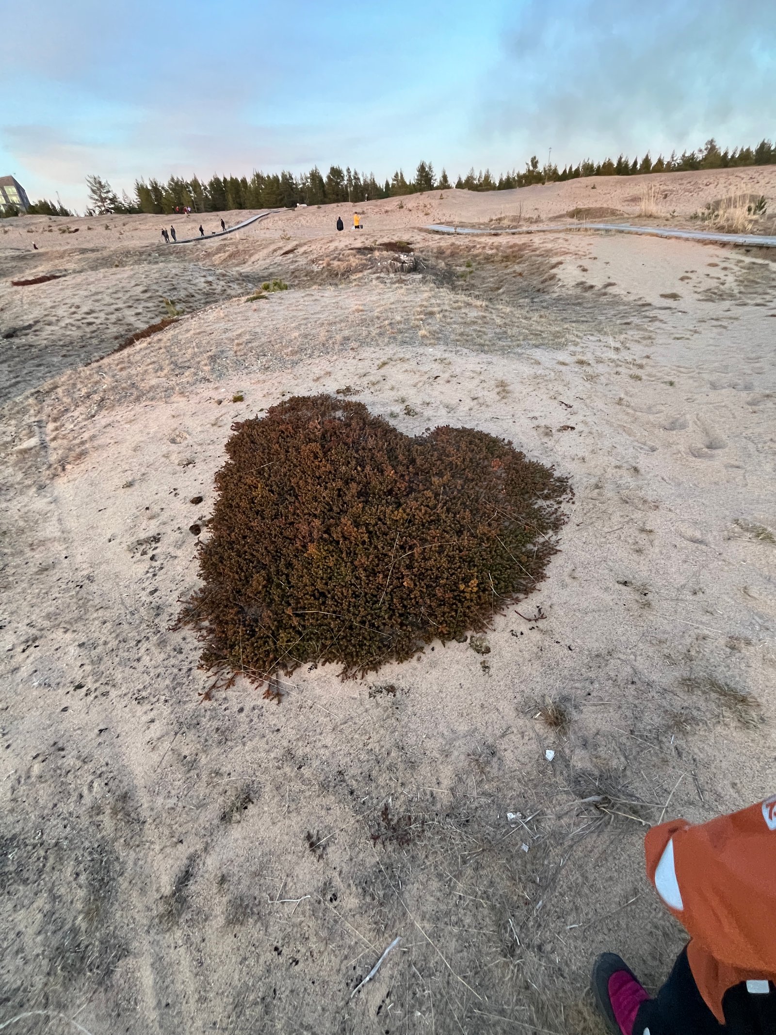 Mikä on Kalajoen matkailun sääriskin sietokyky?